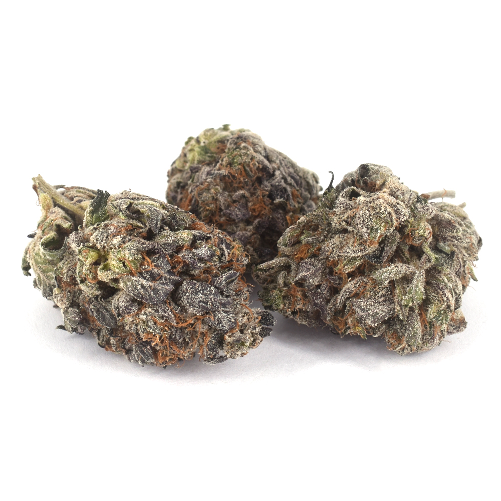 Blue Rhino (AAA) - Image 2